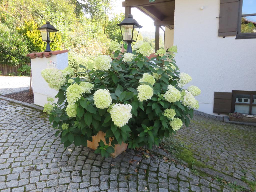 Hittenpichl Bodenmais Exteriör bild