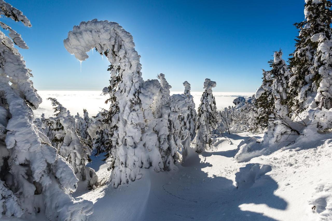 Hittenpichl Bodenmais Exteriör bild